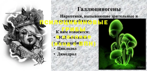 ПСИЛОЦИБИНОВЫЕ ГРИБЫ Михайловка