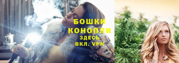 ПСИЛОЦИБИНОВЫЕ ГРИБЫ Михайловка