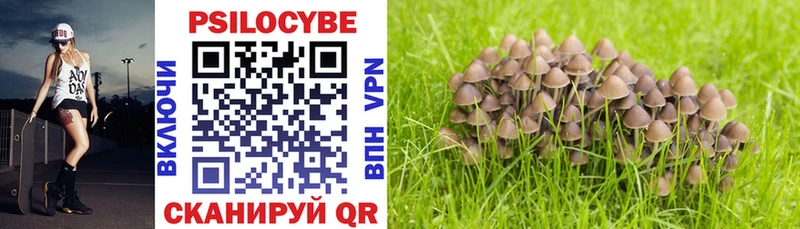 дарнет шоп  Сорск  Галлюциногенные грибы Psilocybe 